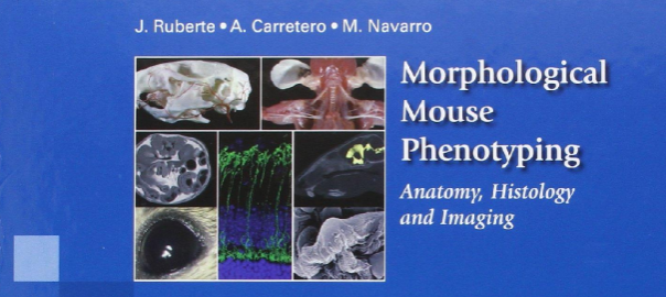 morphological-mouse-phenotypig-featured-image
